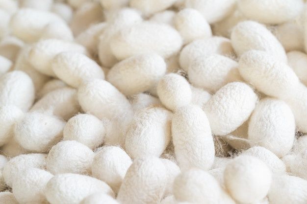 Soie de mûrier pure et naturelle